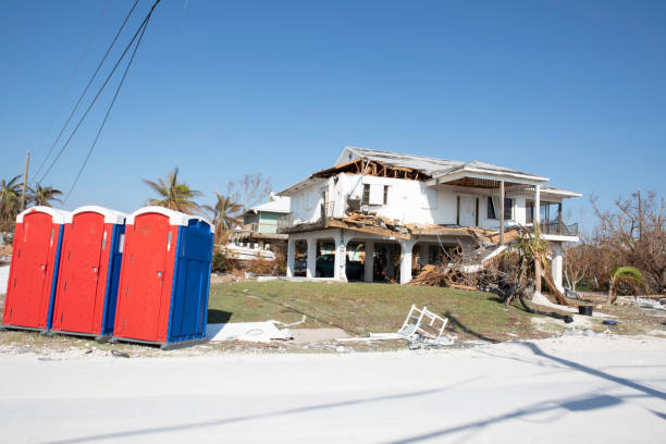 Best Hazardous Tree Removal  in Haw River, NC